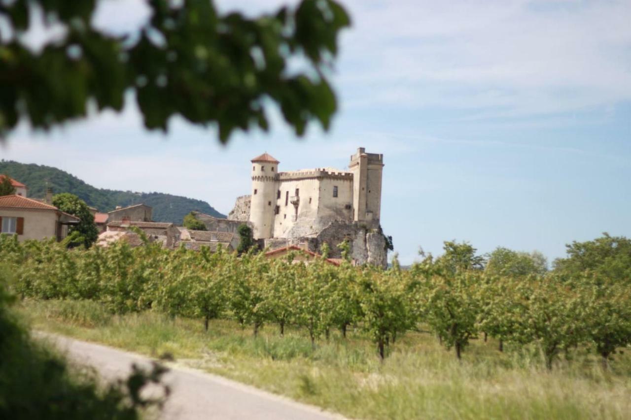Appartement Spacieux Et Confortable La Roche-de-Glun Esterno foto